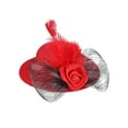 thumbnail image 1 of LINMOUA Chicken Hats For Hen Small Funny Chicken Accessories Feather Top Hat, 1 of 1