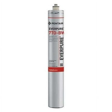 Everpure Filter Cartridge,Not Rated,20 3/4" H EV962704-75