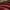 Red, variant on Regency Heights Twin/Twin XL Comforter Set Blue, 2 Pieces Faux Suede Comforters Twin/Twin XL Size, Pieced Bedding Comforters Sets, Cozy Comforter Bed Set, Machine Washable