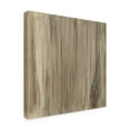 thumbnail image 2 of Trademark Fine Art 'Wood Panel IV' Canvas Art by Chris Paschke, 2 of 3