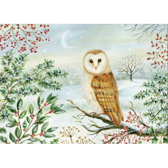 Barn Owl in Winter Deluxe Boxed Holiday Cards (20 Cards, 21 Self-Sealing Envelopes), (Hardcover)