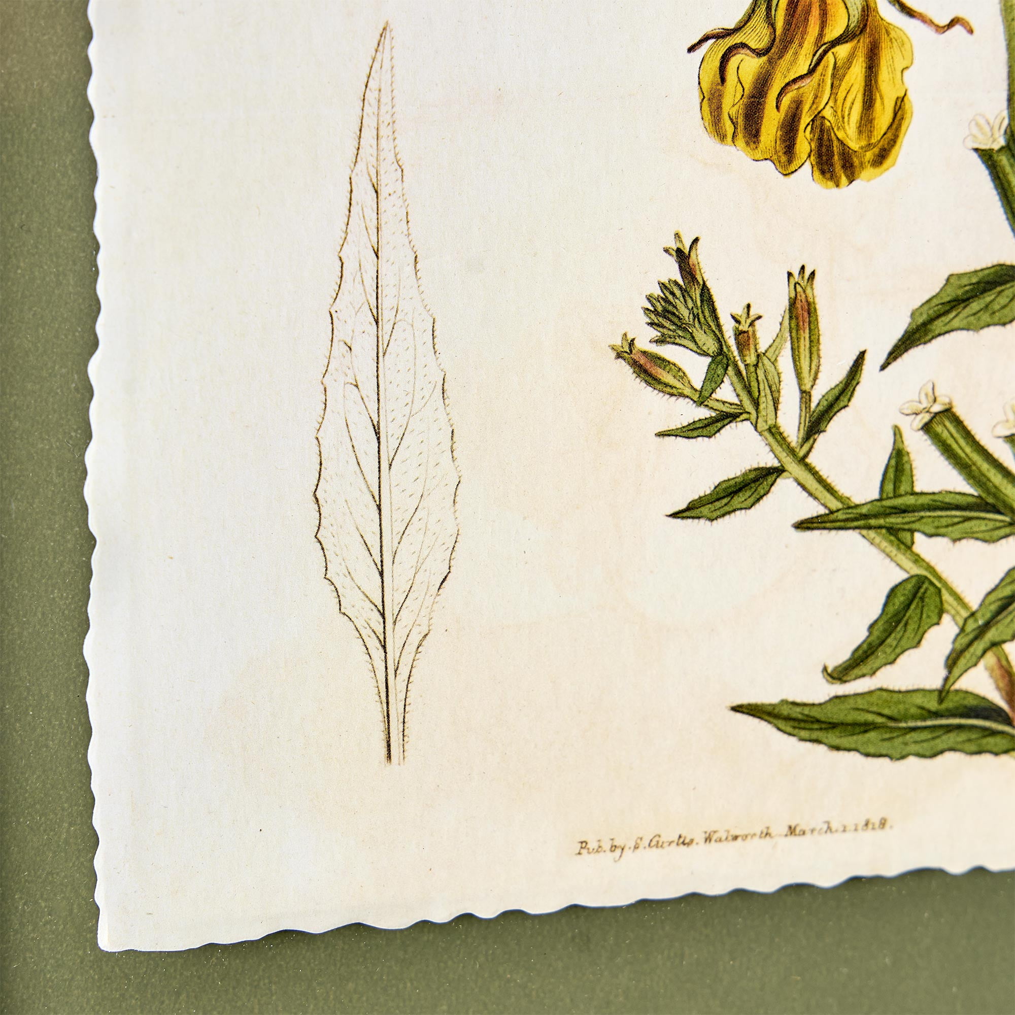 Beautiful Framed Vintage Florals Elm Tree Leaves-Yellow Flowers-Peony Flower 3-Piece Set by Drew Barrymore 10" X 12"
