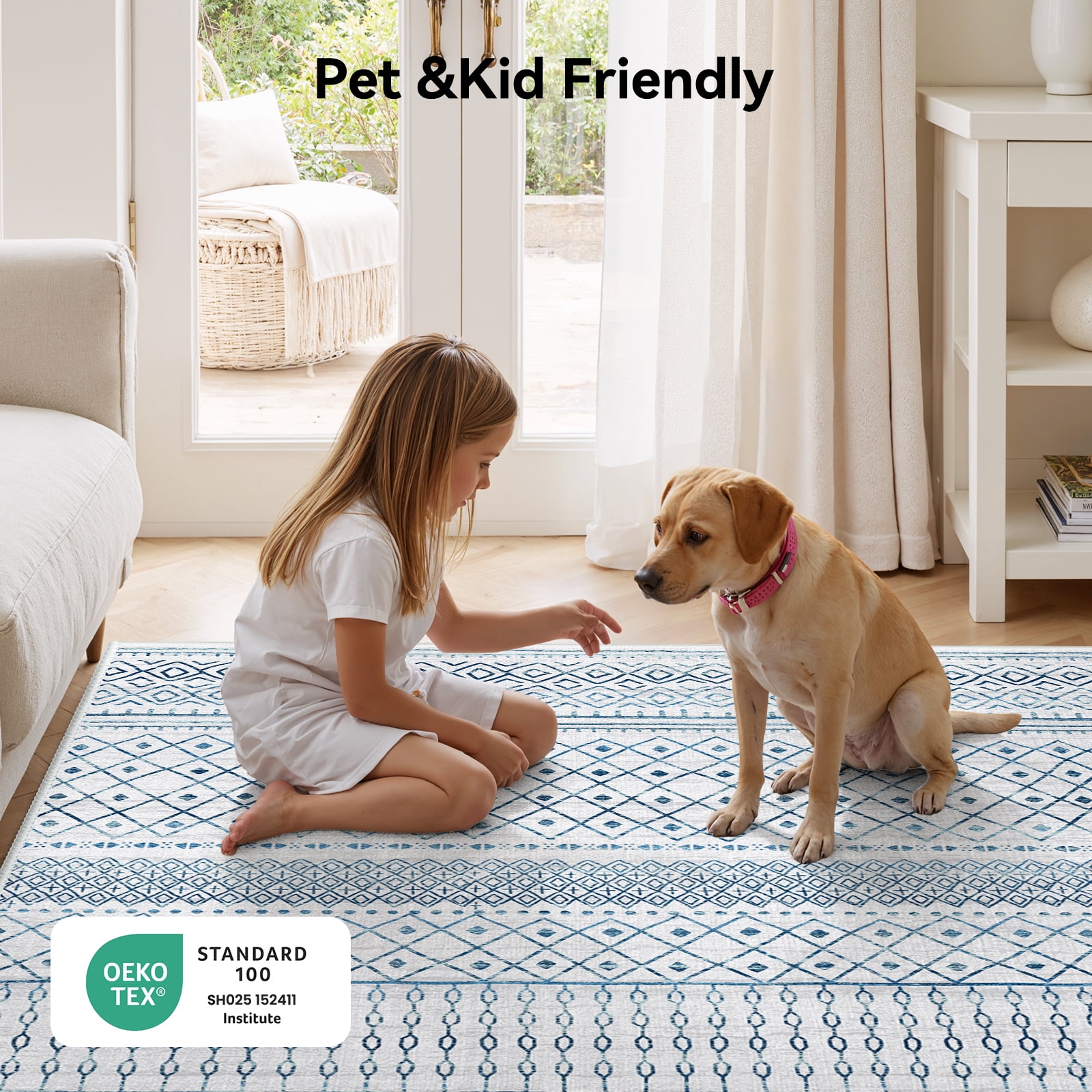 CHITOOMA 5'x7' Area Rugs for Living Room, Washable Rugs Print Pattern Boho Soft Geometric Bohemian Carpet Indoor Rug for Bedroom Dining Room Office Nonslip Foldable Rug