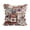 Beige, variant on Boho Throw Pillow Covers 18x18 Inch Throw Pillow Cover with Tassel Colorful Bohemian Tufted Pillowcase for Sofa Home Decor Pack of 1(Beige)