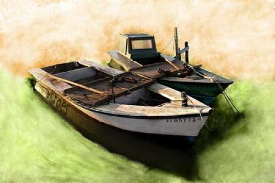 Boat VIII Canvas Art - Ynon Mabat ()