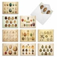 thumbnail image 2 of The Best Card Company 10 Assorted Thank You Notes Bulk Set 4x5.12 w/ Envelopes, 10x1 Designs, For Men, Women, Egg-cellence M10035TY, 2 of 7