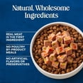 thumbnail image 5 of Blue Buffalo Love Made Fresh Dog Food, Refrigerated, Beef Recipe, 1-lb Roll, 5 of 11