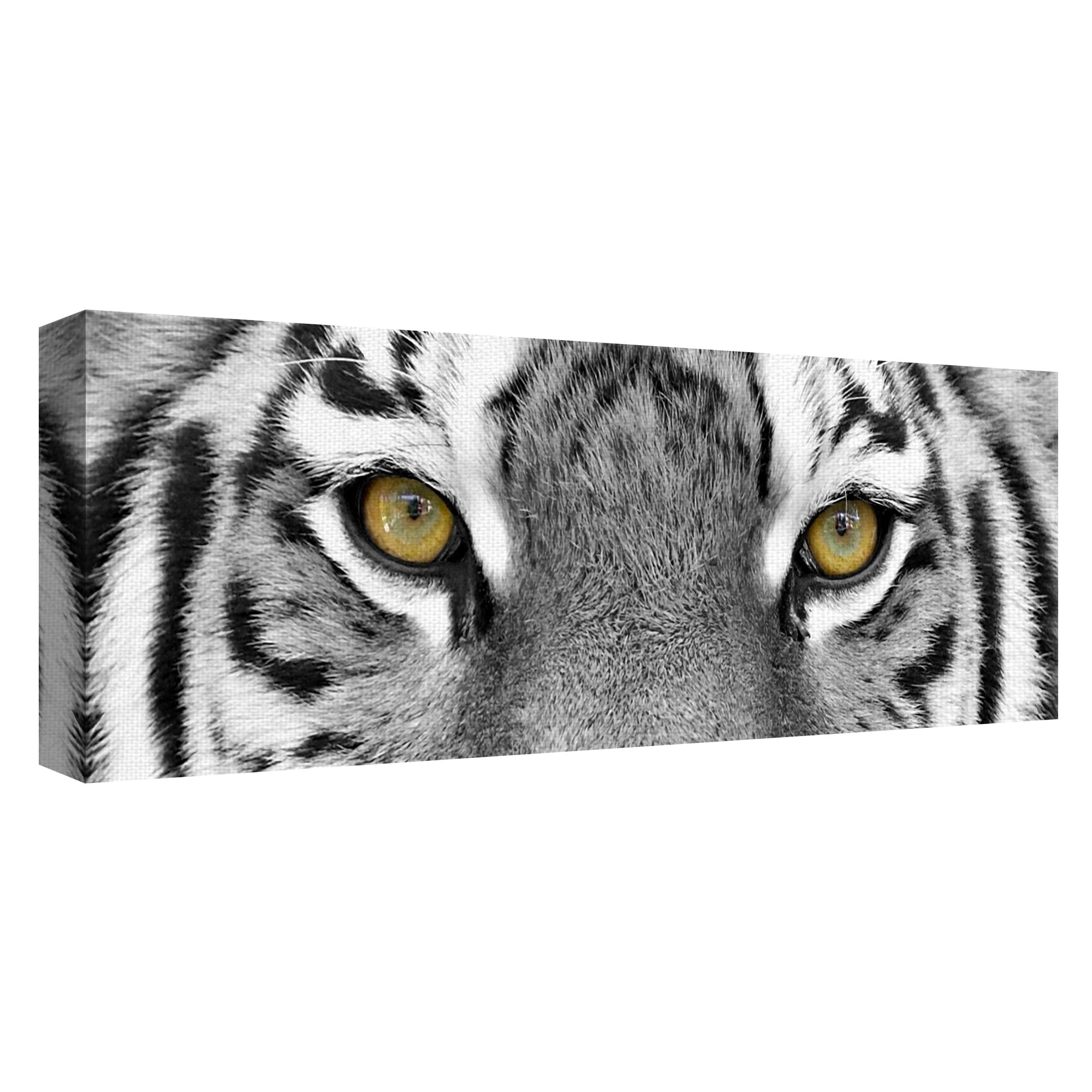Masterpiece Art Gallery Tiger Eyes by PhotoINC Studio Canvas Art Print 16" x 48"