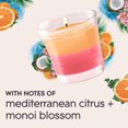 thumbnail image 4 of Glade® Scented Candle Air Freshener, Coastal Sunshine Citrus and Exotic Tropical Blossoms, 4 of 9