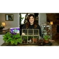 thumbnail image 2 of Espoma African Violet Potting Mix, Natural & Organic Premium Soil, 4 qt, Pack of 1, 2 of 7