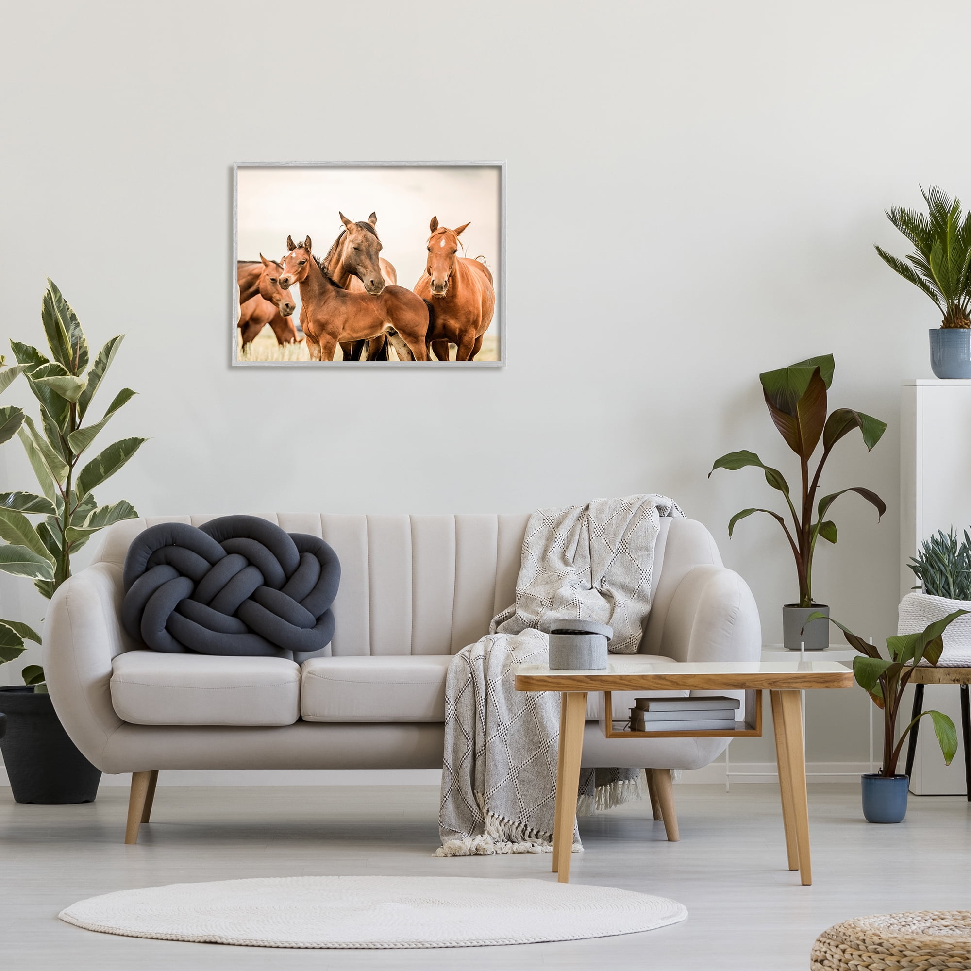 Stupell Industries Horse & Foals Photography Animals & Insects Photography Gray Framed Art Print Wall Art, 30 x 24