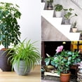 thumbnail image 4 of 48pcs Plant Pot Feet Risers Natural Foam Flower Pot Mat Invisible Pot Feet, 4 of 5