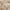 Light Tan, variant on SUSUZI 5 x 7 ft Shaggy Area Rugs for Bedroom Living Room Modern Large Fluffy Floor Rugs Plush Soft Carpet Rugs Home Décor, Charcoal Gray