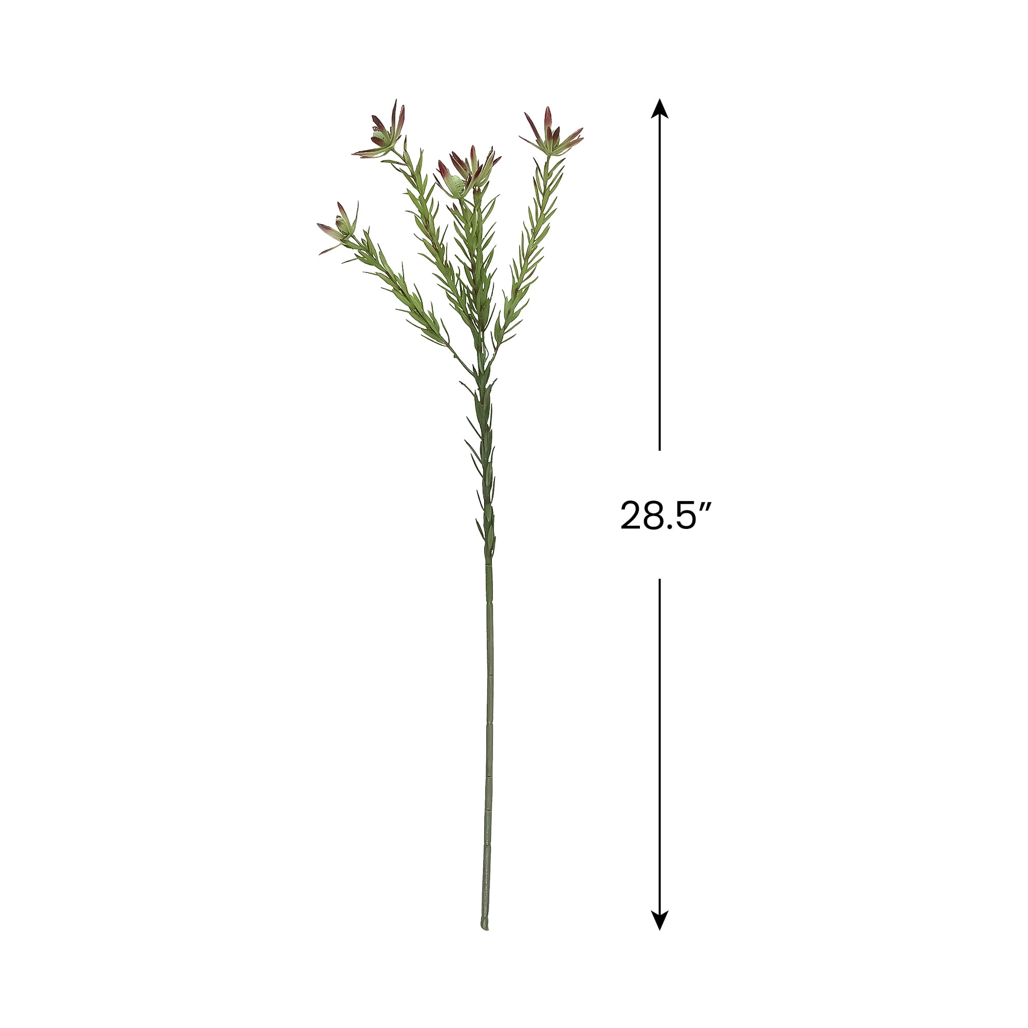 Protea Artificial Floral Spray - 28.5"