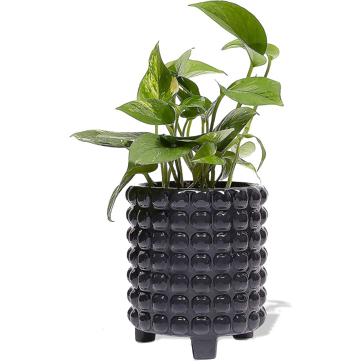 Hobnail Vase Ceramic Planter with Drainage, Indoor Flower Pot for Home Decoration, Dark Gray, 7