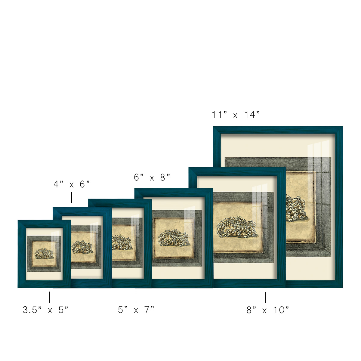 Mini Exotic Coral I (U) - Framed Print w/glass - Ocean Blue