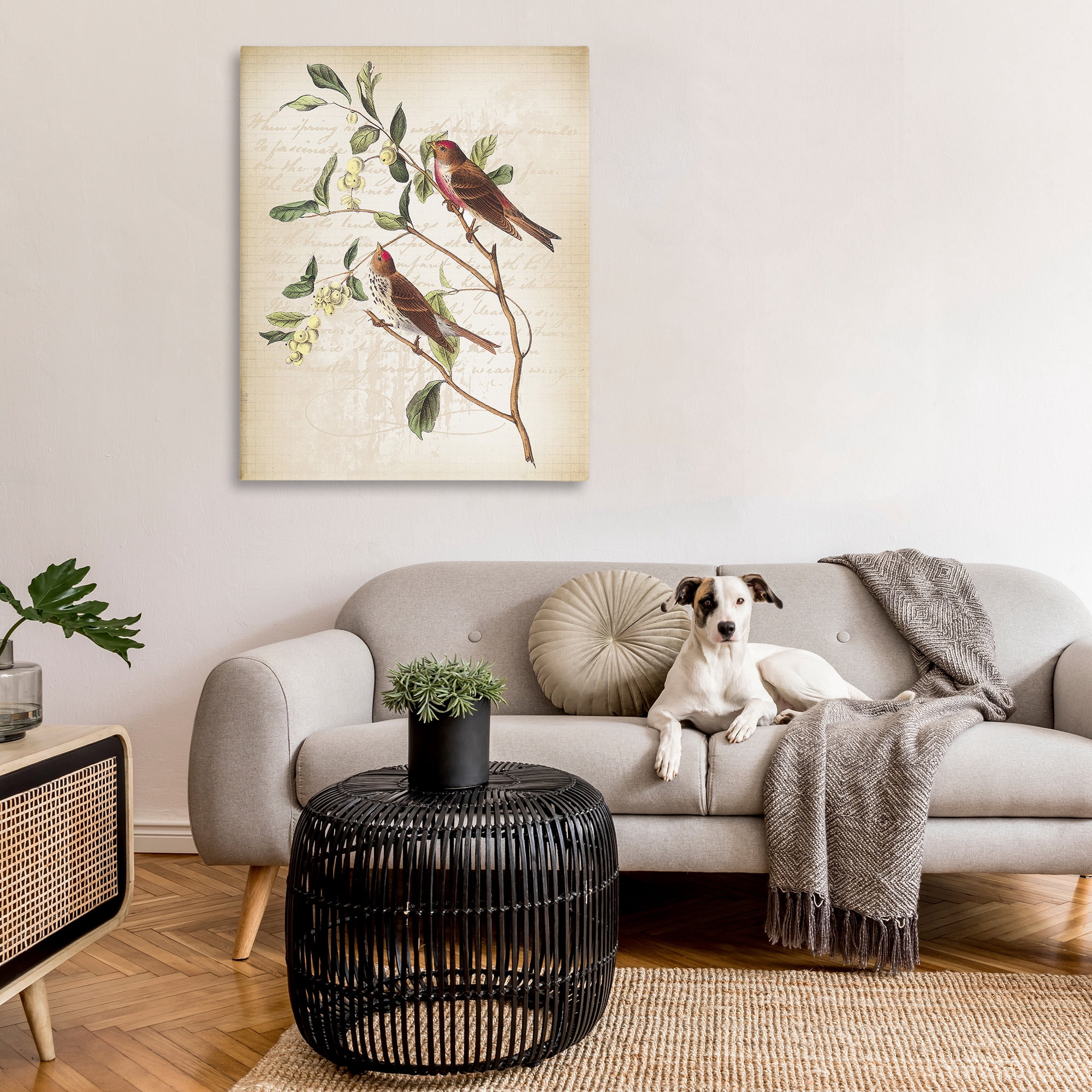 Stupell Industries Birds with Vintage Cursive Animals & Insects Painting Gallery Wrapped Canvas Art Print Wall Art, 36 x 48