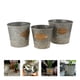 thumbnail image 3 of Cubo de hierro multifuncional 3 unids Plantador de flores seco plantador de plantas de decoración del hogar, 3 of 5