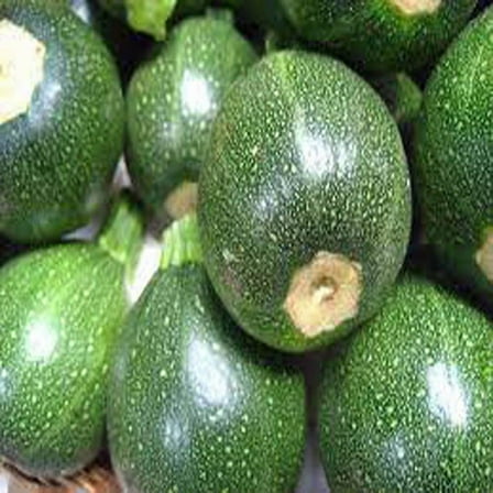 Zucchini Seeds, Round Squash, Heirloom, 100  Seeds, Non GMO, Healthy Vegetable