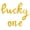 Gold, variant on Cursive Script Letter Balloons - LUCKY ONE 16" Inch Alphabet Letters Foil Mylar Balloon 1st Birthday Party Banner (Gold)