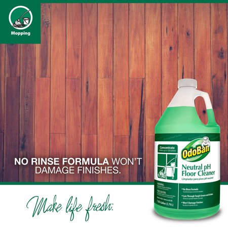 Branded Odoban Earth Choice Neutral Ph Floor Cleaner 1 Gal Pack