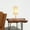 Brown#1, variant on Table Lamp New Design Small Modern Stylish Desk Lamp In Stock In The United States, Easy To Install, Optima Marble Lampshade Table Lamp - Bronze 110V Metal Online Shift Switch, Used for Bedside Table