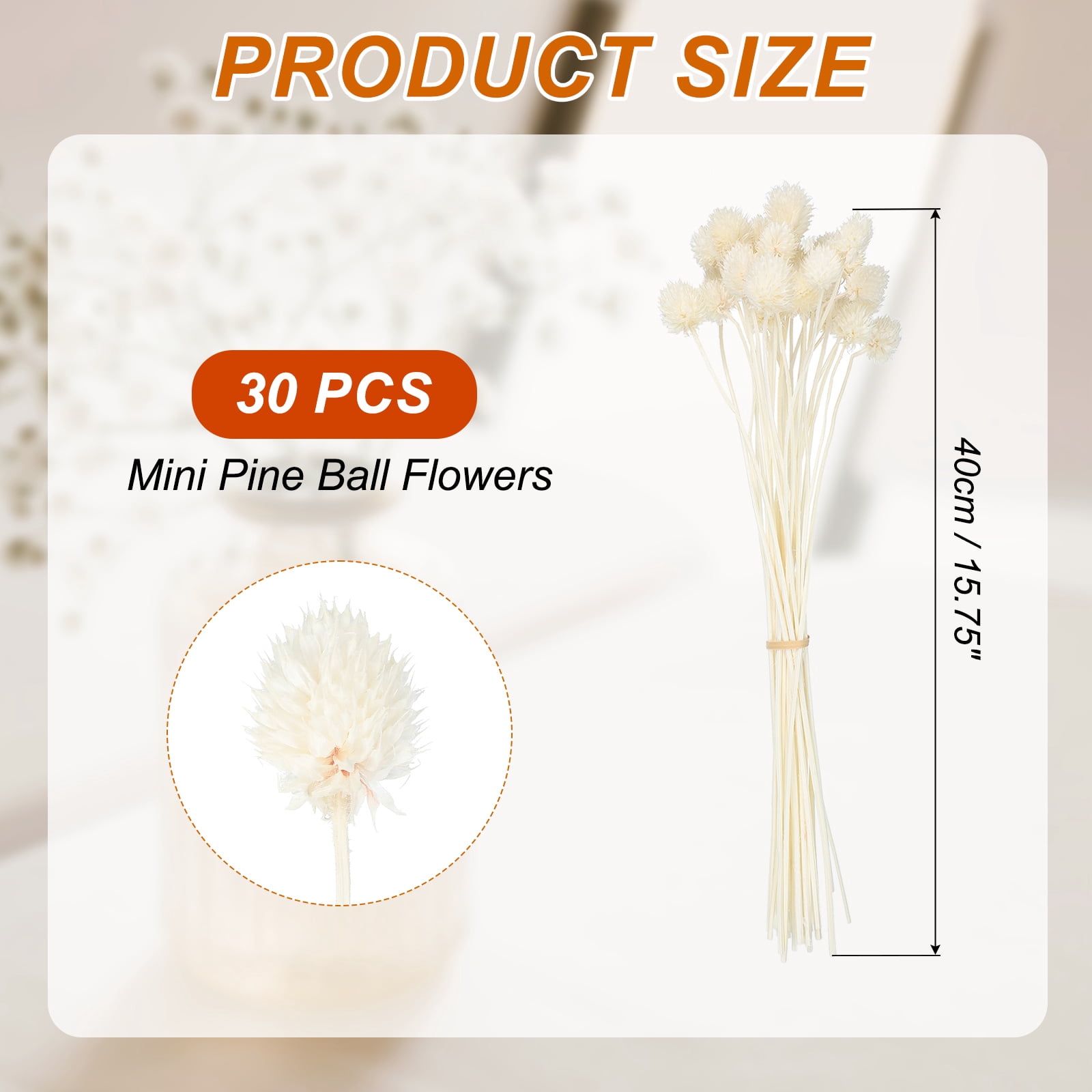 Uxcell Dried Flowers for Vase, Mini Pine Ball Flowers Natural Bouquet Bulk Fall Dried Pine Ball Naturally for Home Wedding White