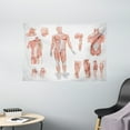 thumbnail image 1 of Human Anatomy Tapestry, Inner Muscle System Skin Structure with Cells Biology Health Medical Display, Wall Hanging for Bedroom Living Room Dorm Decor, 60W X 40L Inches, Coral Grey, by Ambesonne, 1 of 2