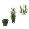 thumbnail image 5 of Vickerman 24" Artificial Potted Green Straight Grass and Cattails., 5 of 6