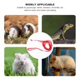 thumbnail image 3 of Small Animal Leash, Adjustable Wearable Beads Design High Strength Reptile Traction Leash Skin Friendly  For Lizard For Hamster, 3 of 7