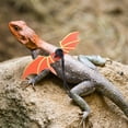 thumbnail image 2 of Miangastore 1 Set Bearded Dragon Harness Leash: Adjustable Reptile Gecko Lizard Harness Traction Rope - Small Pet Leash For Escape Prevention, 2 of 8