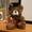 Graduation Teddy Bear Under $5 a2, variant on RRJ Graduation Gift Plush Bear Doll With Cap, 7. Inch Tall Soft Stuffed AnimalToy, Celebration Souvenir For Graduate, Home Desk Office Decor