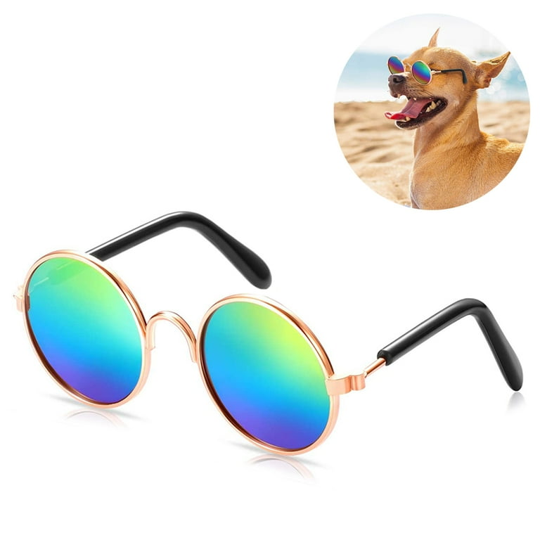 Cute small sunglasses 2025