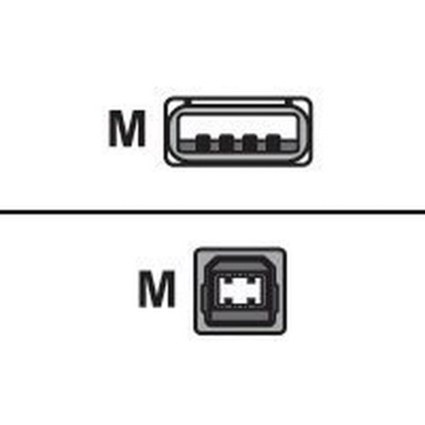 APC USB 2.0 A to B Cable Type A Male USB Type B Male USB 6ft