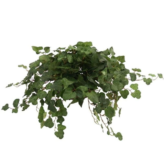 Distinctive Designs 2838A Topper with Silk Swedish Ivy in Terra Cotta Saucer - Pack of 2