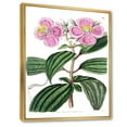 thumbnail image 2 of Designart Vintage Plant Life XXIII FLOAT FRAME WALL ART, 2 of 4