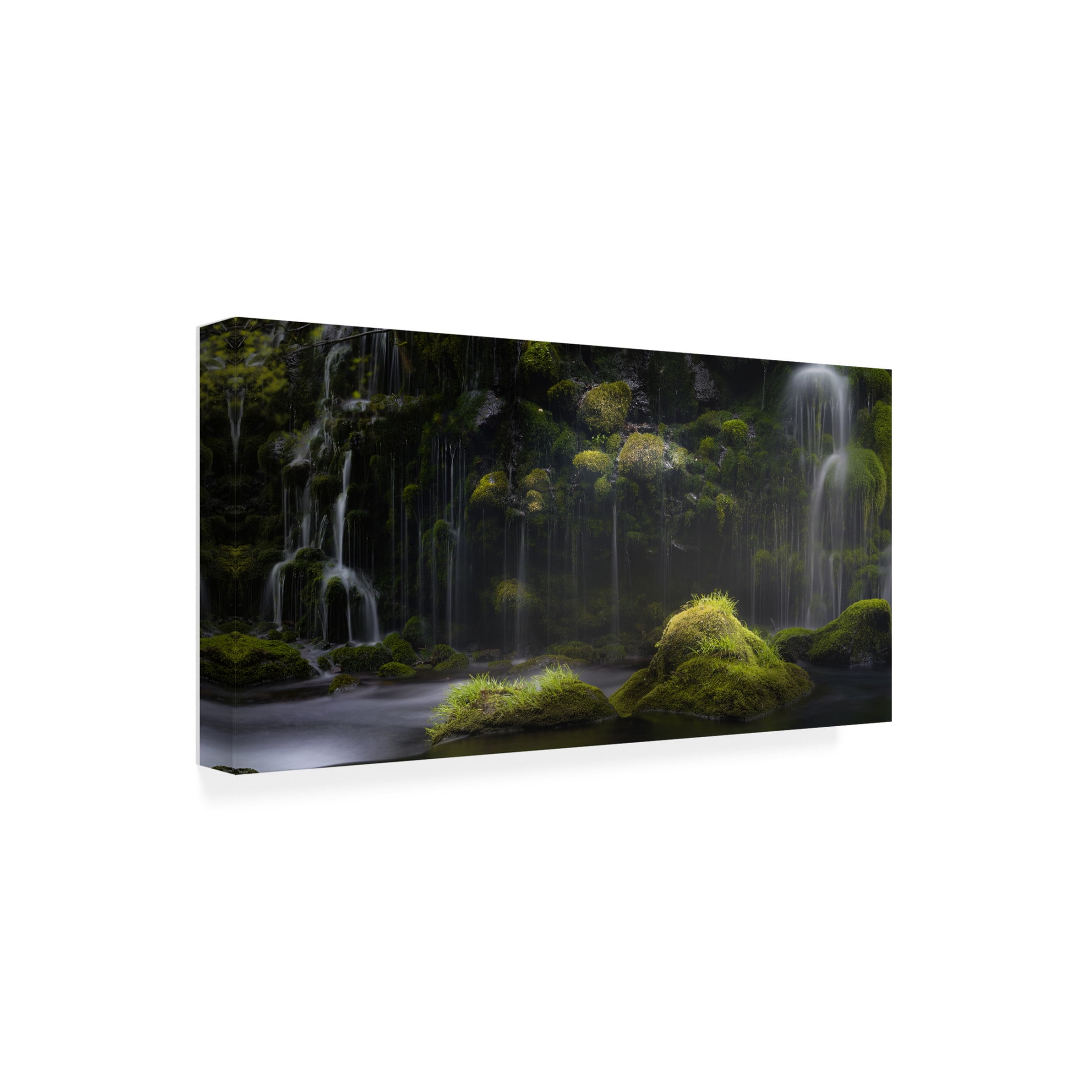 Trademark Fine Art KENjiro.S Silence Canvas Wall Art