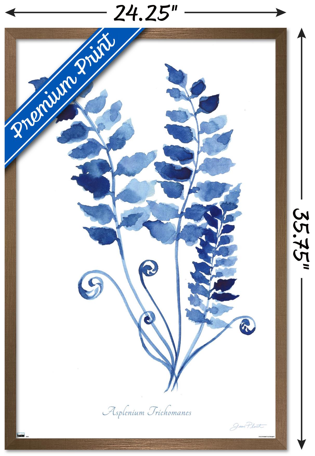 Jean Plout - Indigo Botanical Asplenium Trichomanes Wall Poster, 22.375" x 34" Framed