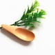 thumbnail image 4 of Laklulu 5 piezas Mini cucharas de madera pequeñas para sal Cucharas de especias de madera maciza Cucharas de miel hechas a mano para especias Azúcar Café Té Mermelada Mostaza Helado Leche, 4 of 5