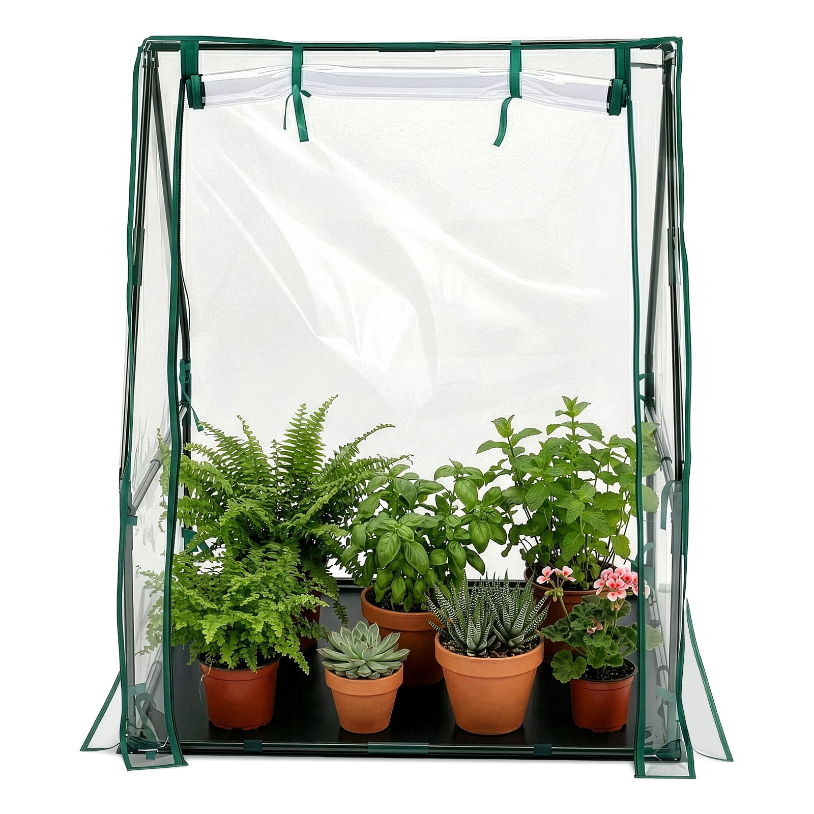 Mini Greenhouse 36×36×42 Inch, Portable Plant Green House with Waterproof PE Cover & Powder-Coated Steel Frame, Zippered Roll-Up Door for Indoor Outdoor Patio Garden Backyard
