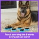 thumbnail image 2 of Talking Pet Essential Words, juego de 6 piezas para perros con hambre, 2 of 9