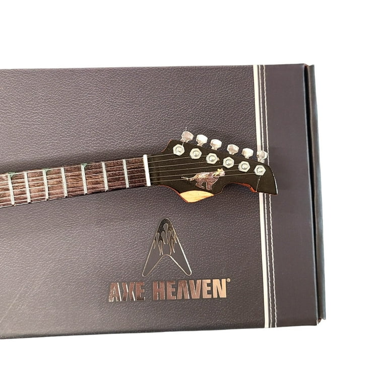 Trey anastasio 2024 guitar strings