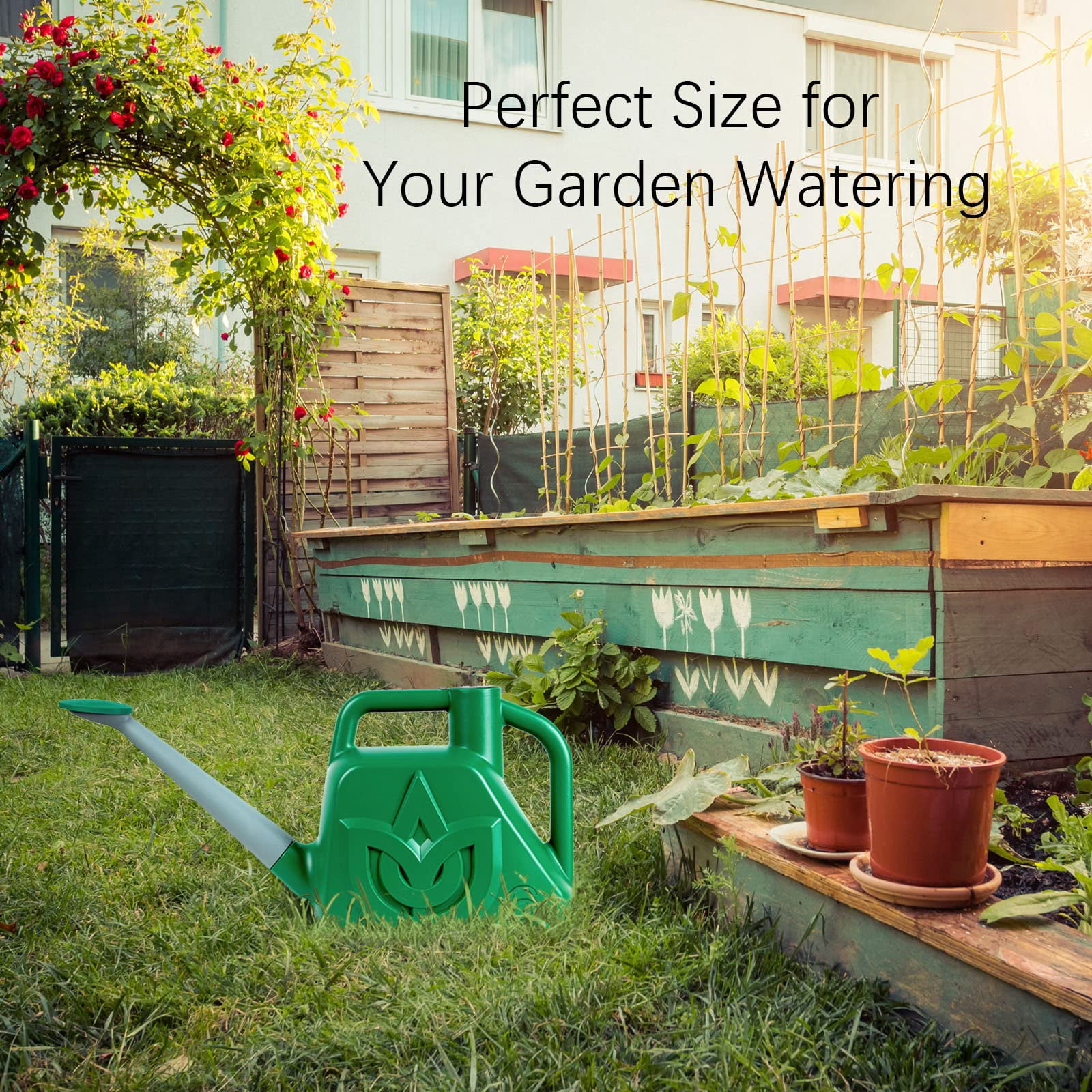 1.5 Gallon Green Watering Can Outdoor Garden Flower Plant, Lightweight 6 L Water Cans with Detachable Nozzle Watering Pot for Office House Garden