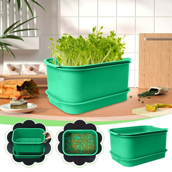Bigersell Seed Sprouter Tray with Drainage Hole - Plant Germination Trays for Vegetable Plant & Seed Fresh Sprouts Microgreens Growing Kit