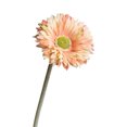 thumbnail image 1 of Yuarrent 36 piezas de flores artificiales para el hogar, oficina, Hotel, sala de estar, dormitorio, simulación realista, flores falsas, Flores artificiales rosa melocotón, 1 of 6
