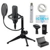 Audio Technica AT4033A Podcast Podcasting Microphone+Stand+Shockmount+Pop Filter