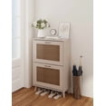 thumbnail image 4 of Dtwnek 2 Tier Shoe Rack Shoe Storage Cabinet Organizer for Entryway, Holds Up to 12 Pairs, 4 of 8