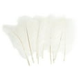 thumbnail image 1 of Ktaxon 100PCS Nature Ostrich Feathers Home Party Decor Color White, 1 of 5
