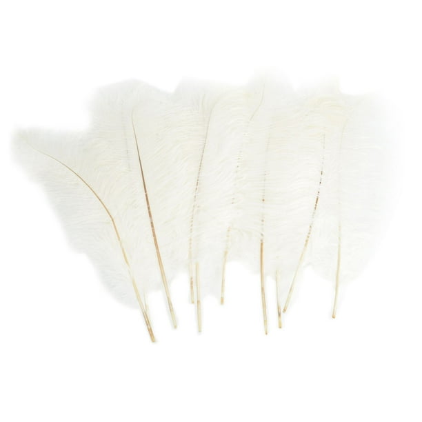 Ivory 2024 ostrich feathers