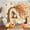 Fall, variant on Fall Gnomes Shower Curtain, Autumn Maple Leaf Pumpkin Harvest Thanksgiving Fabric Shower Curtain, Fabric Rustic Farmhouse Fall Shower Curtain Set for Bathroom with 12PCS Hooks,70X70IN